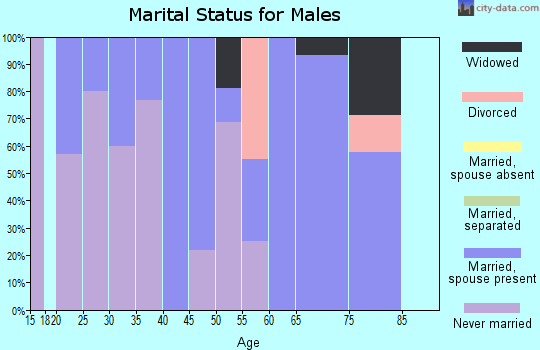 Zip code 62515 marital status for males