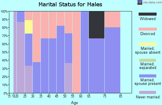 Zip code 62517 marital status for males
