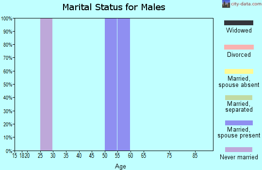 Zip code 62519 marital status for males