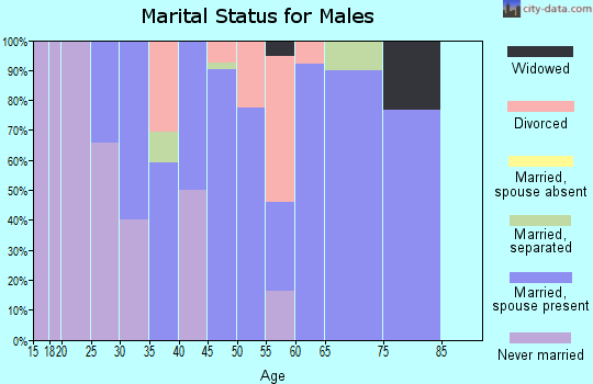 Zip code 62520 marital status for males