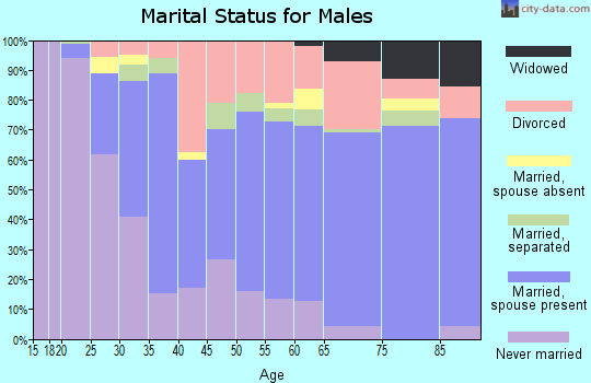 Zip code 62522 marital status for males