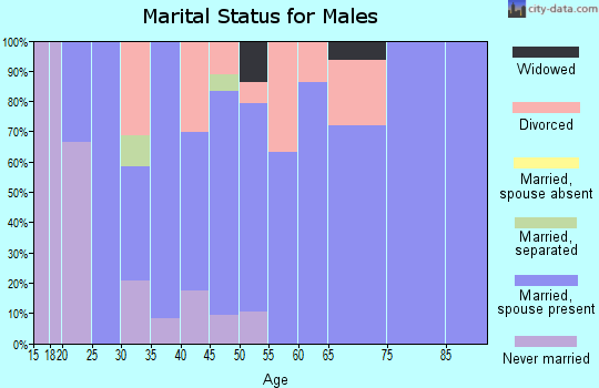 Zip code 62530 marital status for males