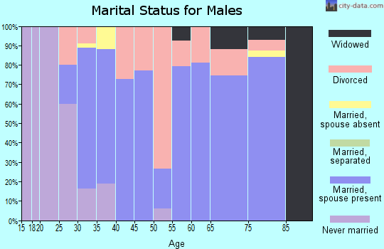 Zip code 62531 marital status for males