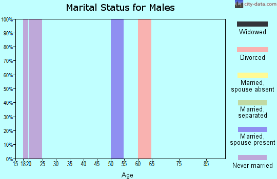 Zip code 62532 marital status for males