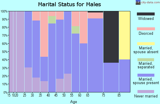 Zip code 62534 marital status for males