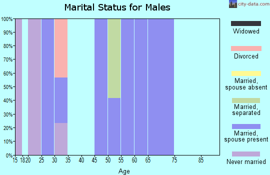 Zip code 62536 marital status for males