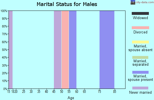 Zip code 62537 marital status for males