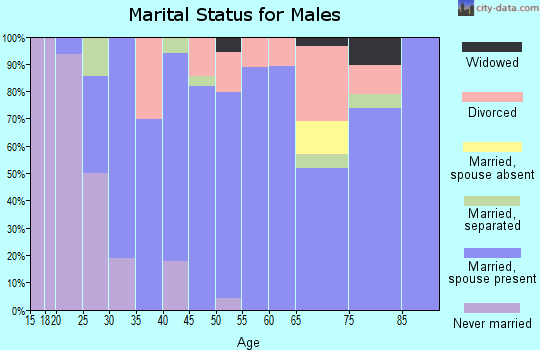 Zip code 62546 marital status for males