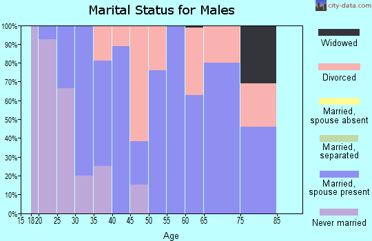 Zip code 62547 marital status for males