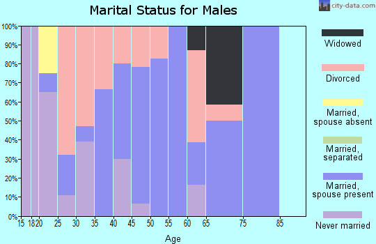 Zip code 62551 marital status for males