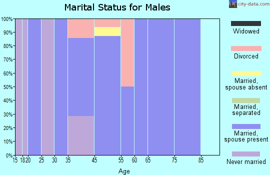 Zip code 62552 marital status for males