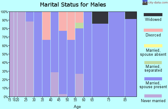 Zip code 62555 marital status for males