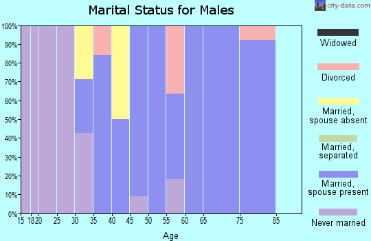 Zip code 62556 marital status for males