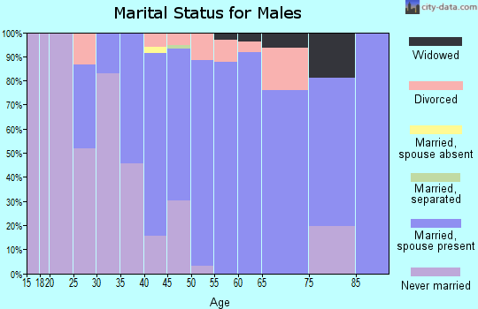 Zip code 62558 marital status for males