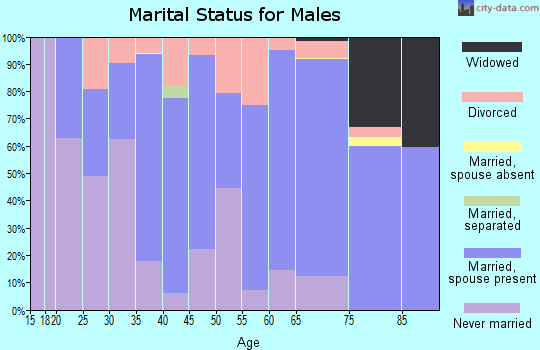 Zip code 62565 marital status for males