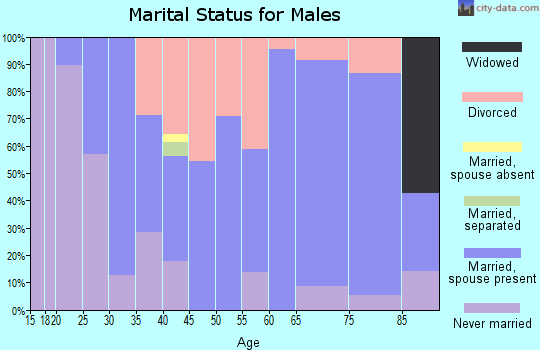 Zip code 62567 marital status for males