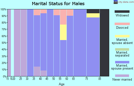 Zip code 62571 marital status for males