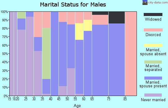 Zip code 62573 marital status for males