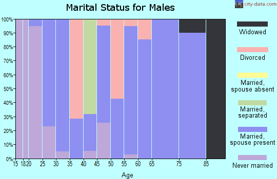 Zip code 62611 marital status for males