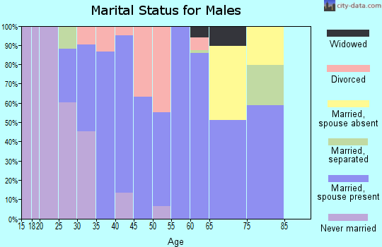 Zip code 62615 marital status for males