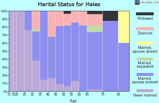 Zip code 62621 marital status for males