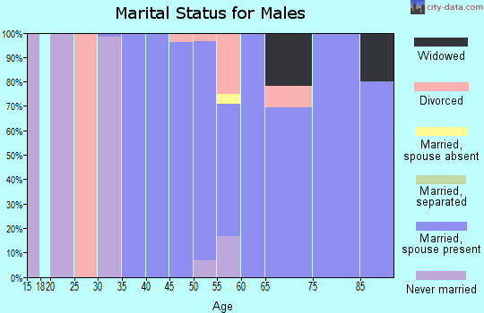 Zip code 62624 marital status for males