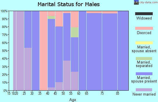 Zip code 62625 marital status for males