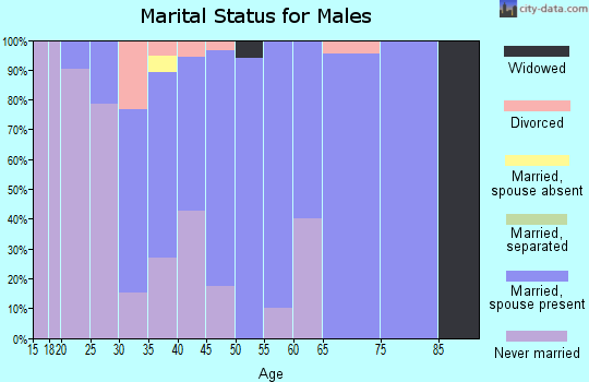 Zip code 62627 marital status for males