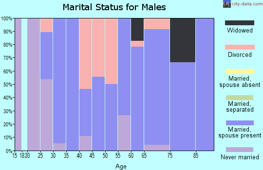 Zip code 62628 marital status for males