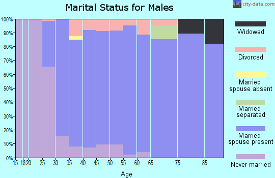 Zip code 62629 marital status for males