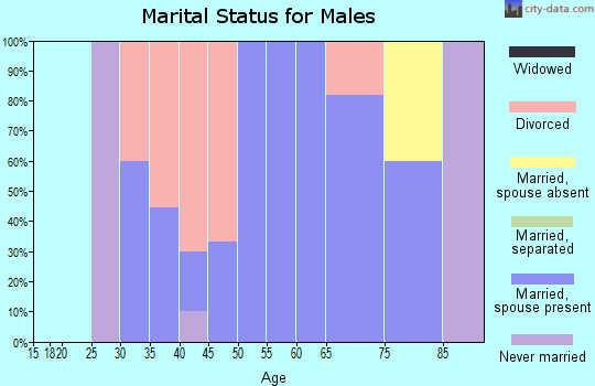 Zip code 62631 marital status for males