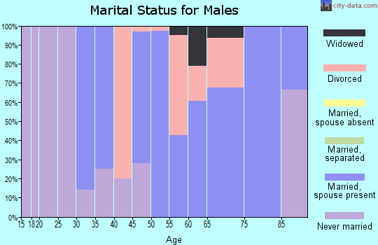 Zip code 62633 marital status for males