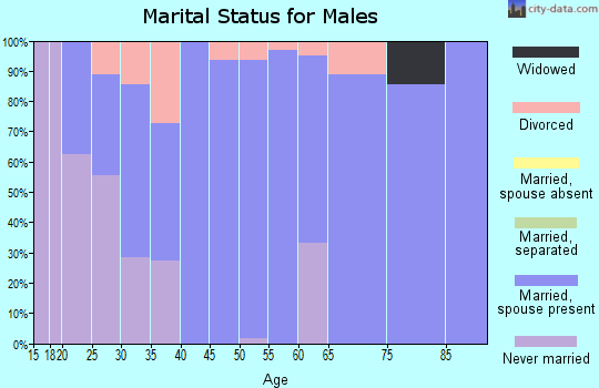 Zip code 62634 marital status for males