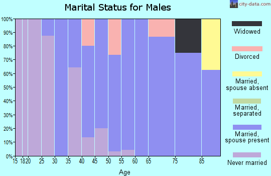 Zip code 62635 marital status for males