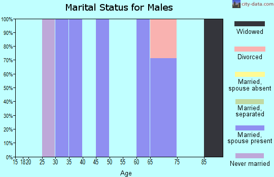 Zip code 62639 marital status for males