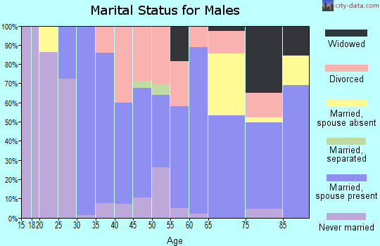Zip code 62640 marital status for males