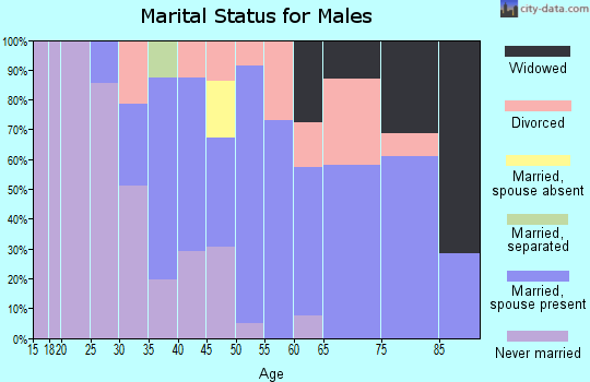 Zip code 62642 marital status for males
