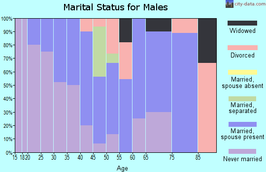 Zip code 62643 marital status for males