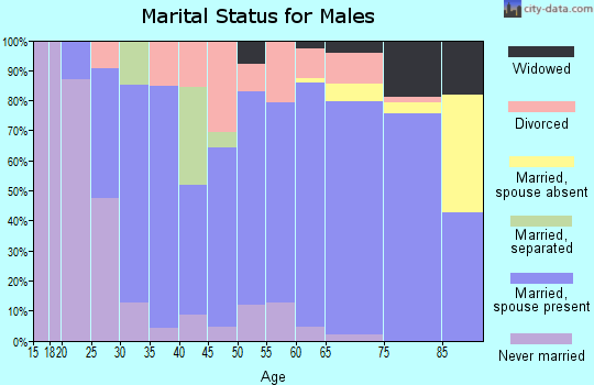 Zip code 62644 marital status for males