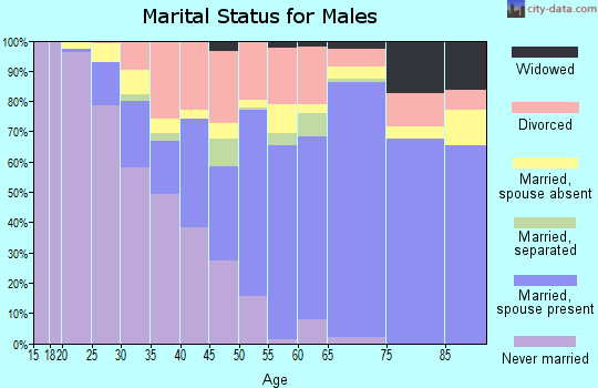 Zip code 62656 marital status for males