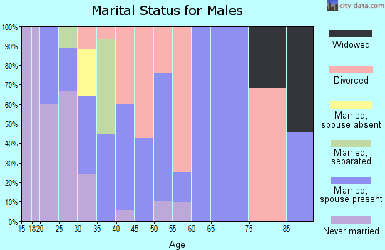Zip code 62661 marital status for males
