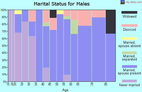 Zip code 62665 marital status for males