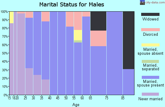 Zip code 62668 marital status for males