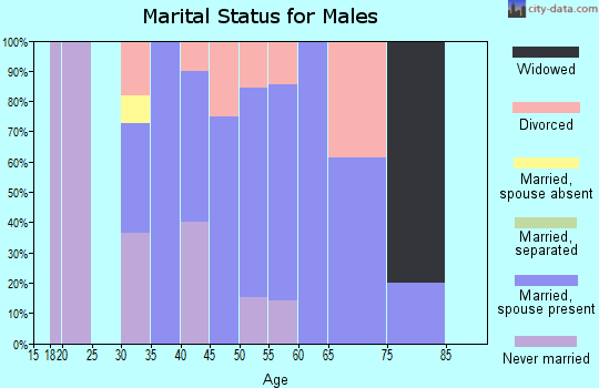 Zip code 62672 marital status for males