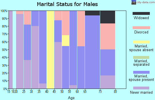 Zip code 62673 marital status for males