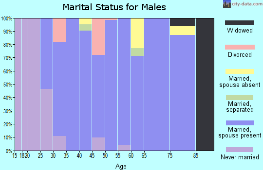 Zip code 62684 marital status for males