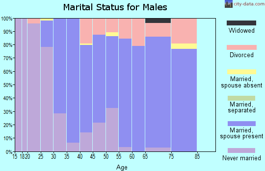 Zip code 62685 marital status for males