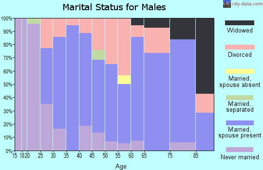 Zip code 62691 marital status for males