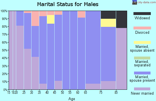 Zip code 62693 marital status for males