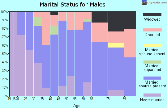 Zip code 62694 marital status for males